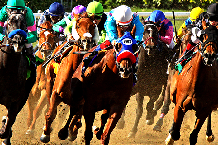 horse-racing-betting-in-salem-oregon
